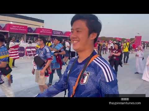郑加恒昆拉,武特赛八强,征程结束,九游会备用官网,九游会官方备用,九游会真人,九游会中心,九游会平台
